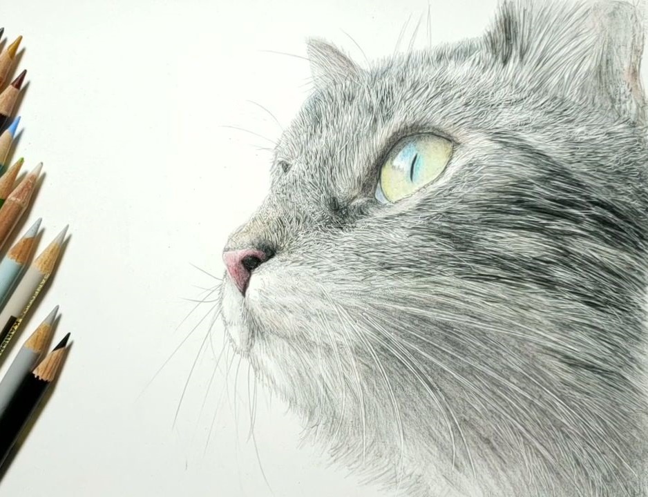 「色鉛筆でネコ描きました
#色鉛筆画 #イラスト #猫がいる生活 #猫好き 」|そんな感じの色鉛筆画のイラスト