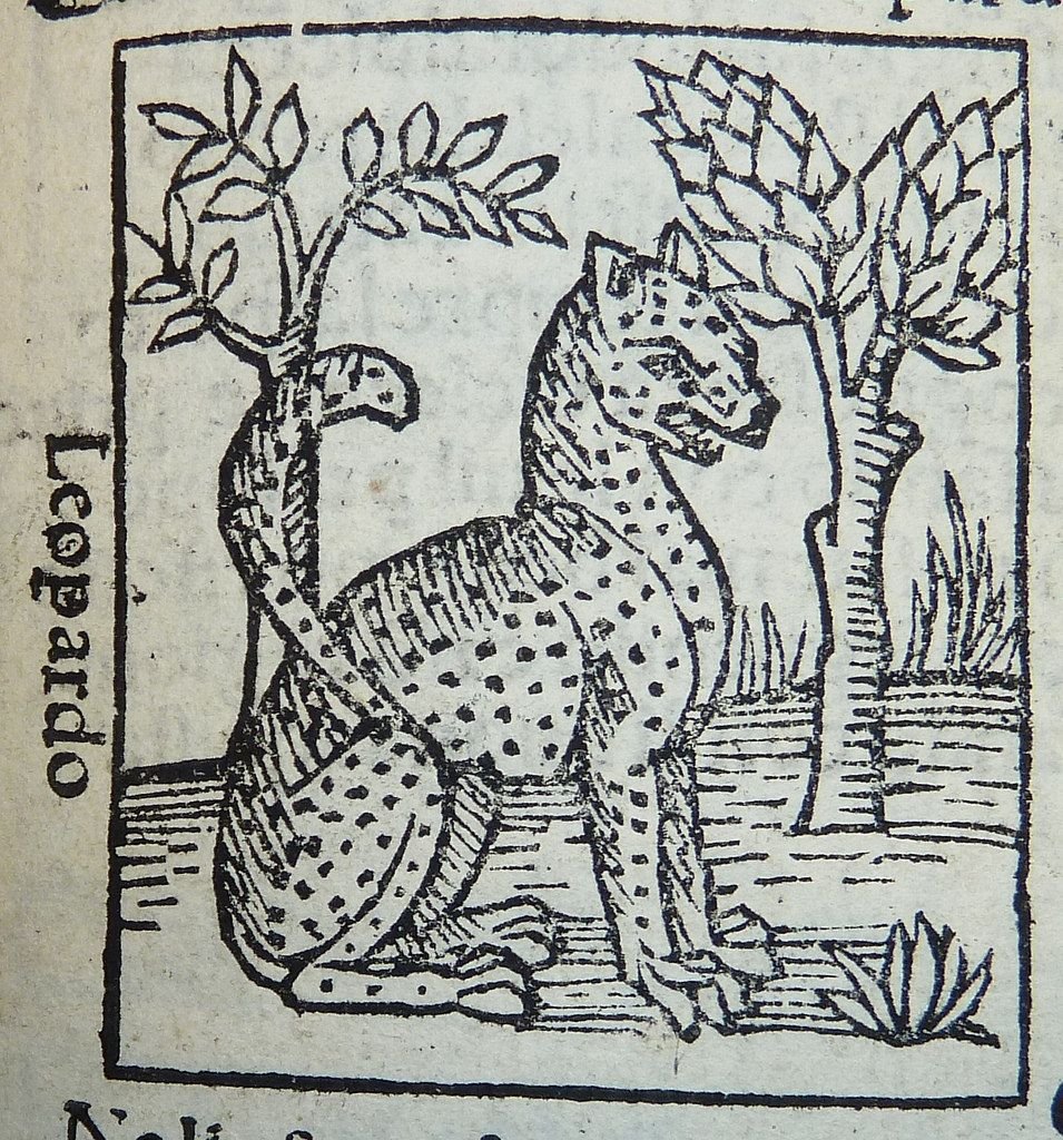GOTCHA (it's an old woodcut) https://t.co/35fyYMTN7T 