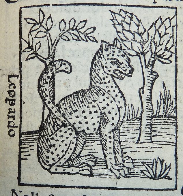 GOTCHA (it's an old woodcut) https://t.co/35fyYMTN7T 