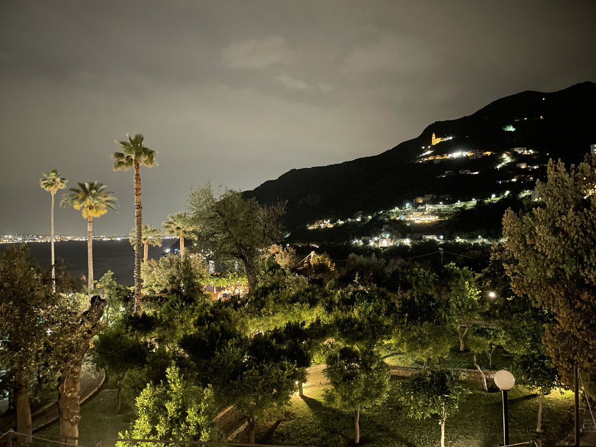 Miss F ; tweet media