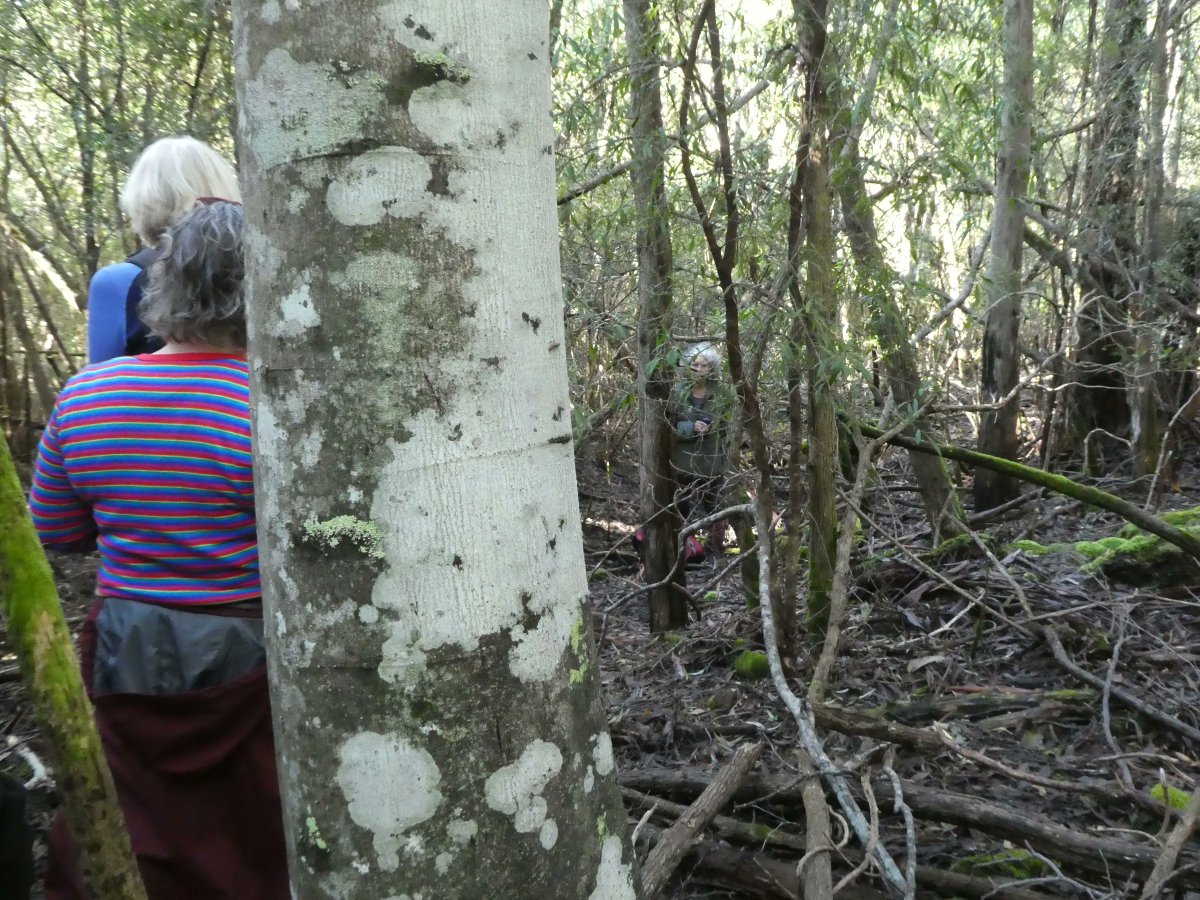 Thanks to Anne McConnell for sharing photos from the Exploring the Archaeology of Hobart’s Early Colonial Timber Industry walking tour that she ran with Angie McGowan during #2022NAW!
