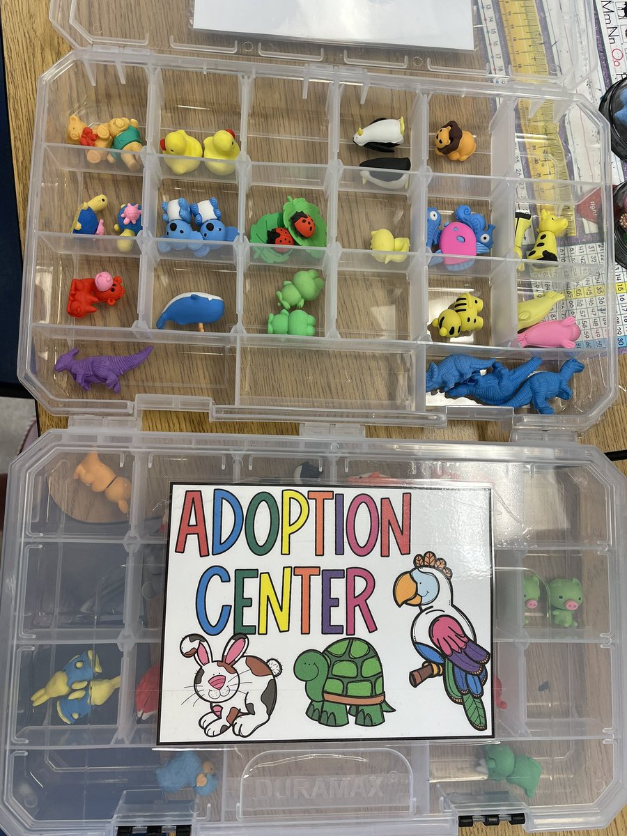 BWDSB Program Department tweet media