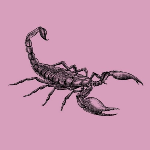 MuseicMag's tweet photo. Listen #free in #SoundCloud now: Acciones by Escorpio Lux https://t.co/Z8Xb2OJBs5 https://t.co/gQO4ph2Jkn