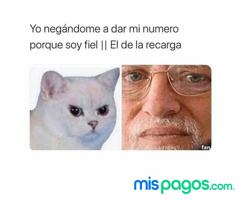 mispagos.com tweet media
