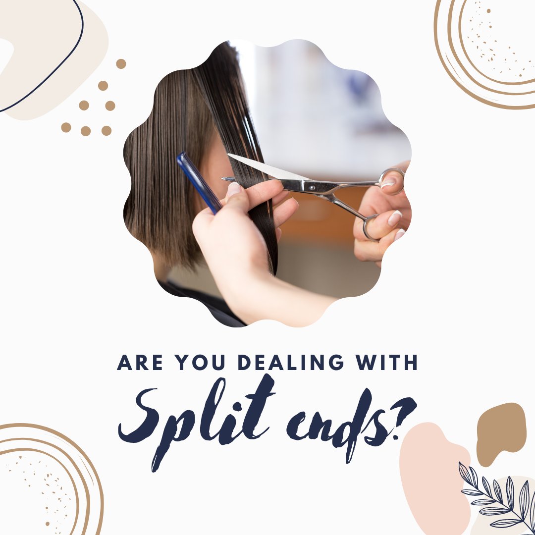 Thentix1's tweet photo. Are you dealing with split ends?

Remember to get regular trims because split ends can become more apparent. Split ends, if unmanaged, can spread up the hair shaft.

#splitends #healthyhair #haircare https://t.co/0xn3PxV8V2