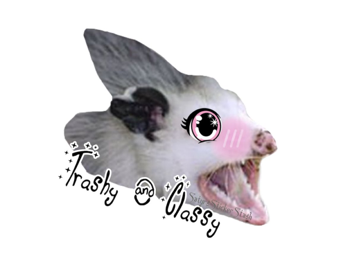 Sassy Classy and Lil bit trashy ☠️ lol 3$ a sticker free shipping for 10 or more stickers 🥹
