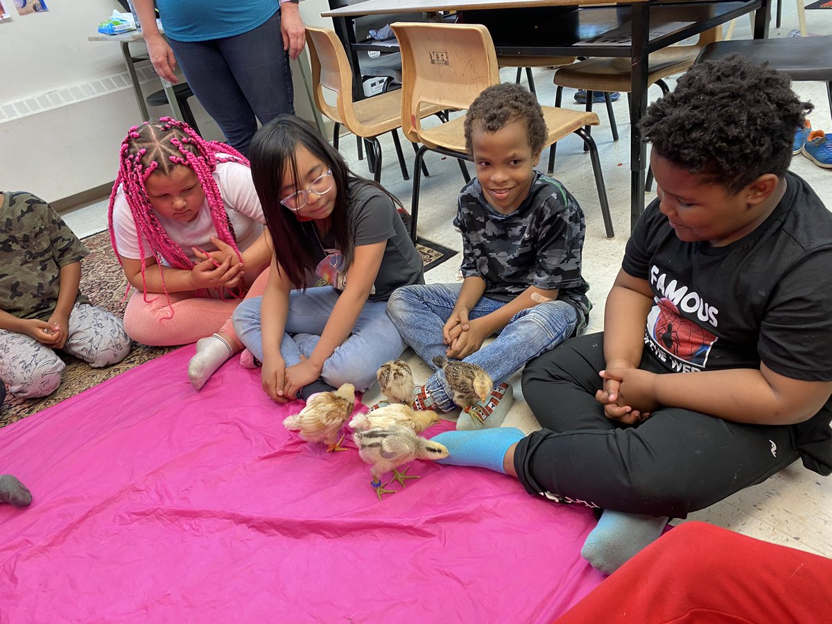 Katie Mott tweet media