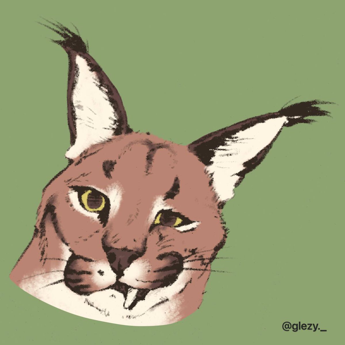 laglesi's tweet image. holy flop!! it's floppa friday!!  

#digitalart #Carcal #Floppa