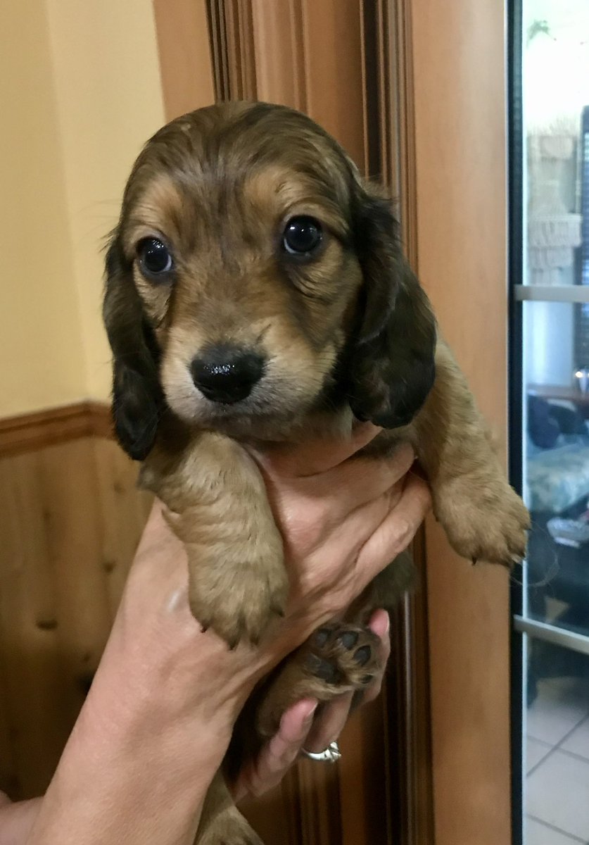 Fallon8802 tweet media