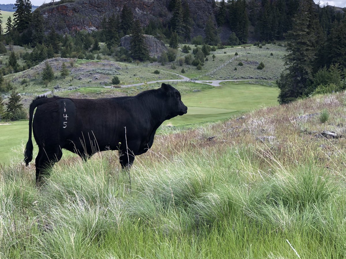 Randy Smith tweet media