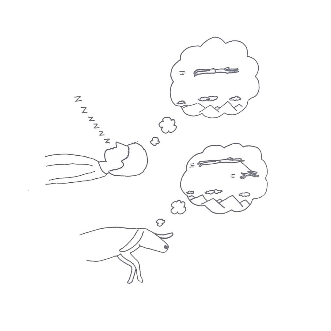 DemetriMartin's tweet photo. https://t.co/7EjUhi7bXF