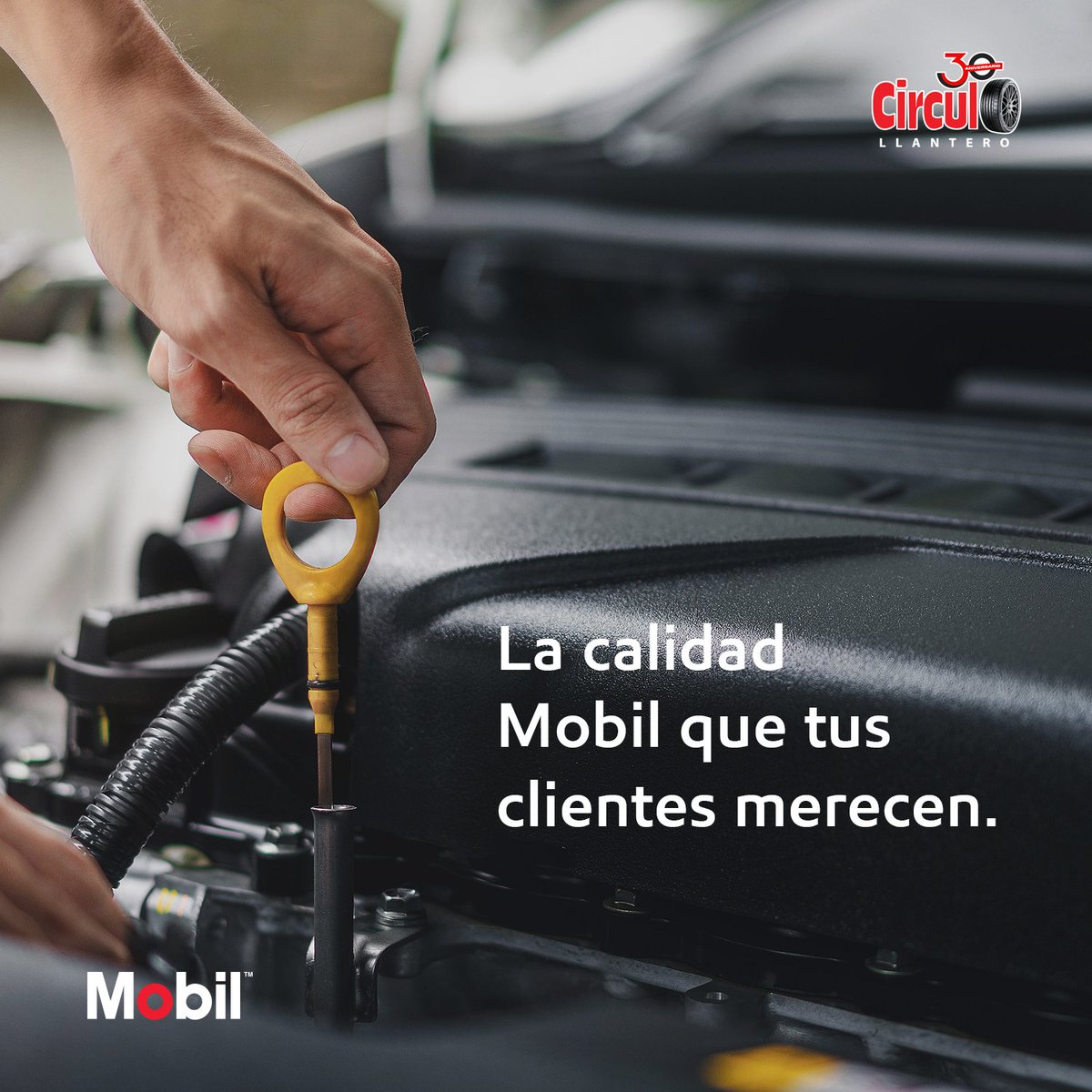 CirculoLlantero's tweet photo. Solo Mobil tiene esa calidad qué tus clientes se merecen. 🤓🚗

Es momento de unirte y ser distribuidor Mobil. 🙌

Visita https://t.co/8Uoeu48d0d https://t.co/YFtkQOJK6f