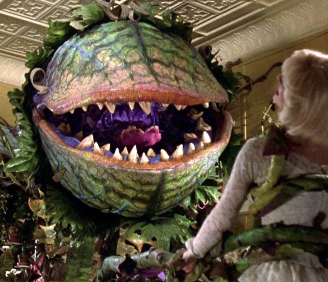 hell1on1wheels's tweet photo. @libsoftiktok @MelrosePS They look like Audrey 2 https://t.co/RYgj7VOstk