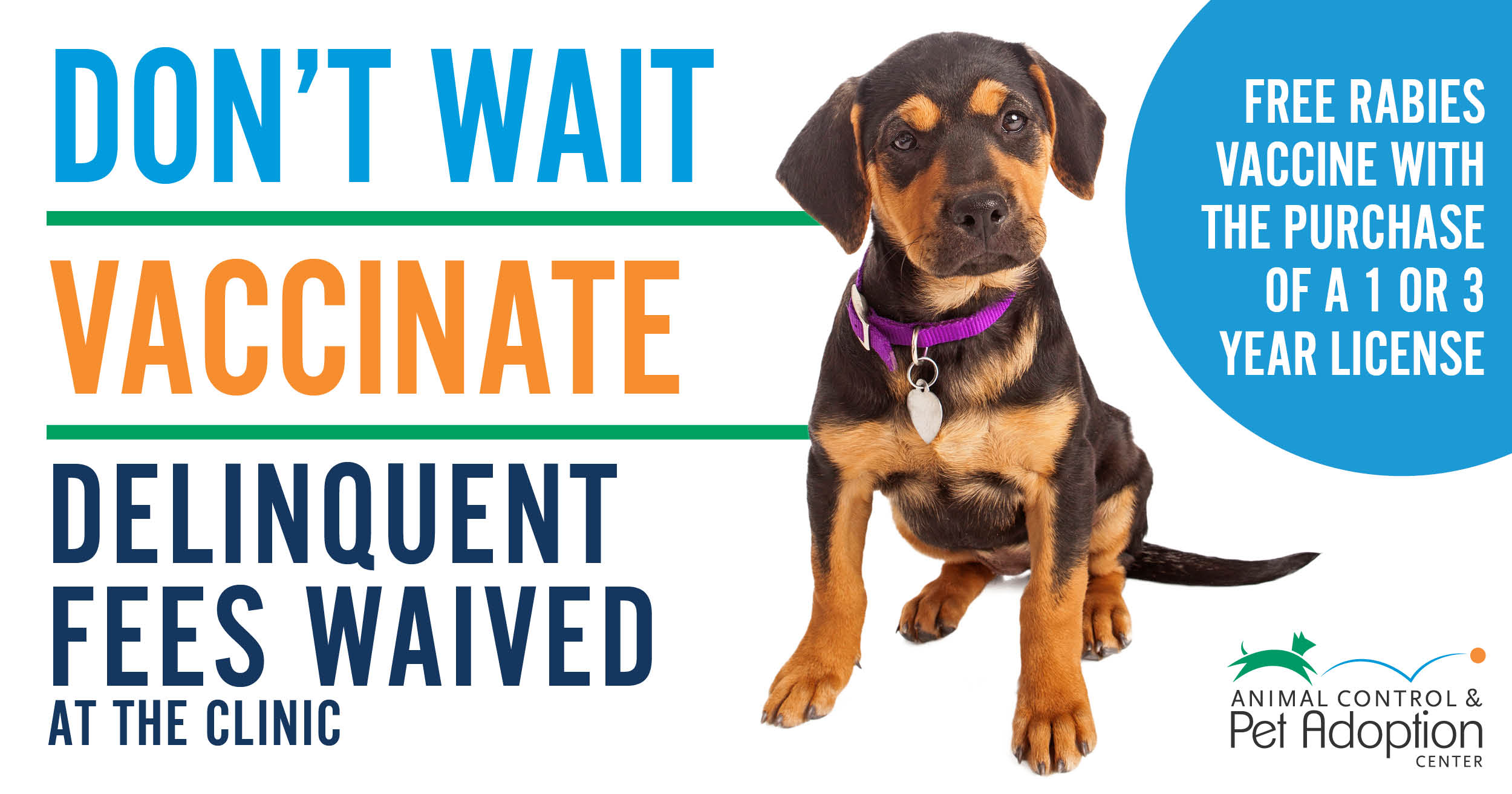 Does Your Dog Need Rabies Shot In Michigan