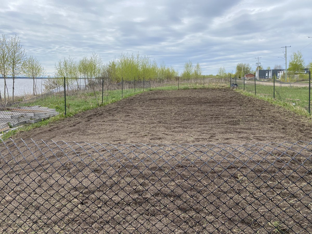 MichaelRobidoux's tweet photo. So great to be back in the field after a long couple of years away as a result of the pandemic. Back at it supporting local food initiatives in the Moose Cree First Nation. Amazing students from TRU and uOttawa helping prepare the community garden in front of the Elders’ Complex. https://t.co/sJksfbH87q