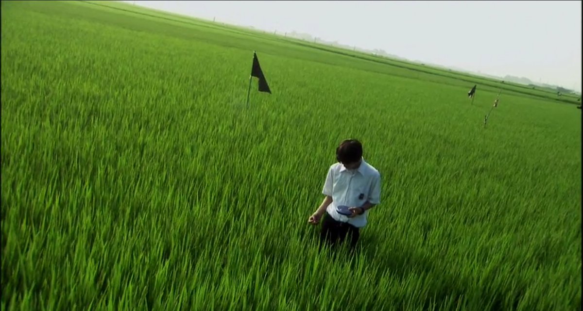 agvsfilm's tweet photo. The magic and beautiful world of Shunji Iwai https://t.co/WPDgJuC90Q