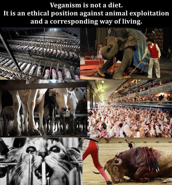 SentientJustice tweet picture