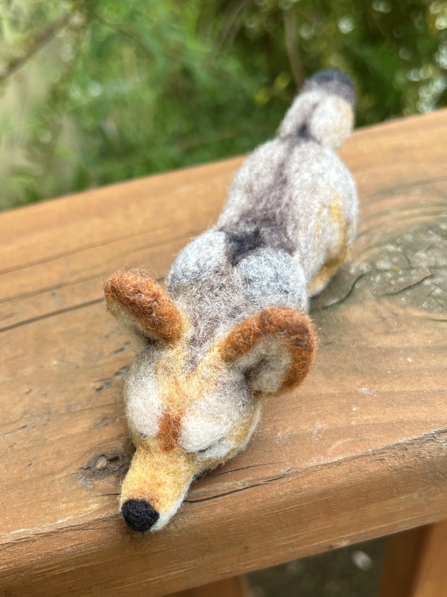 WOLFGIRL tweet media