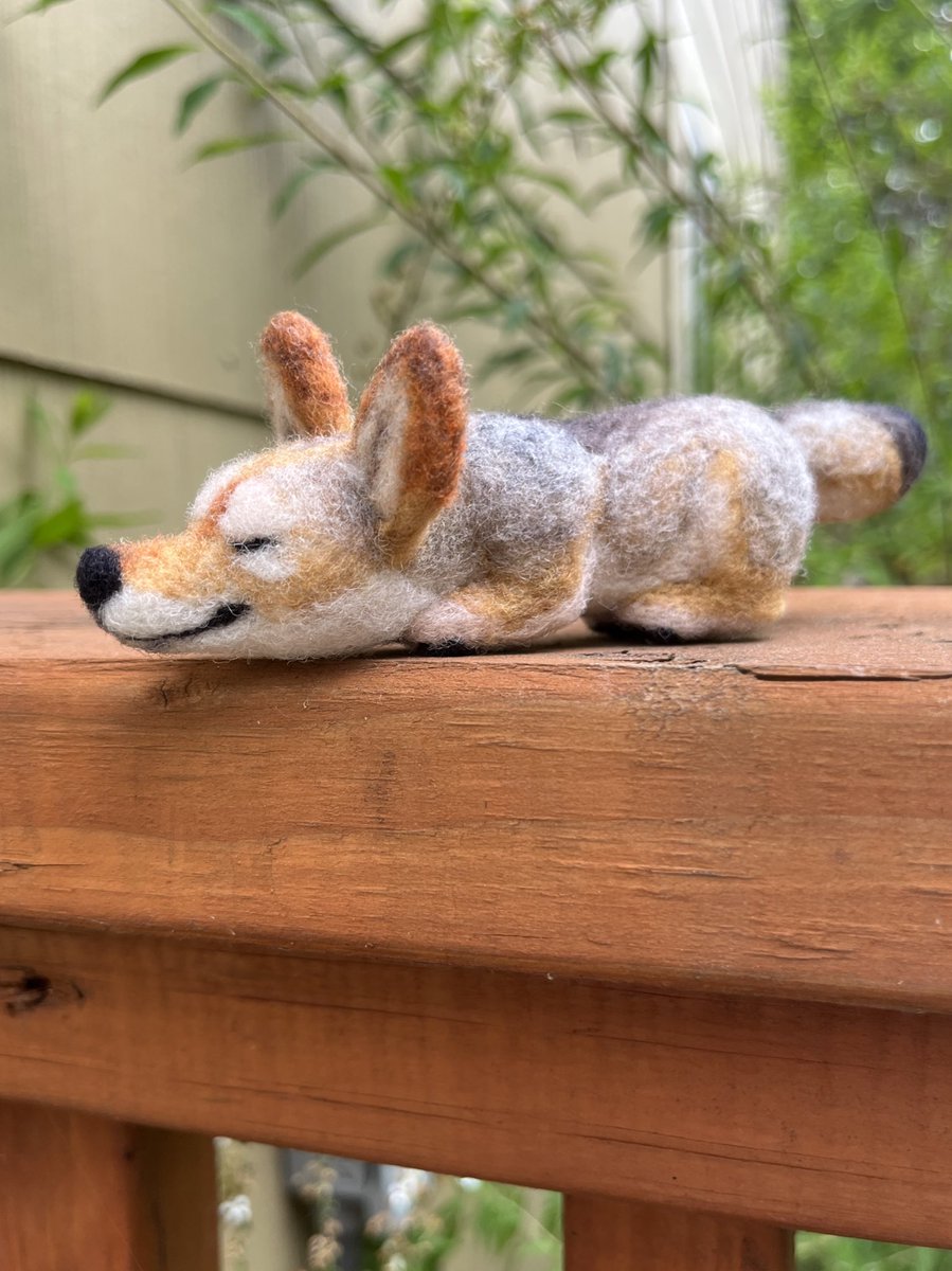 WOLFGIRL tweet media