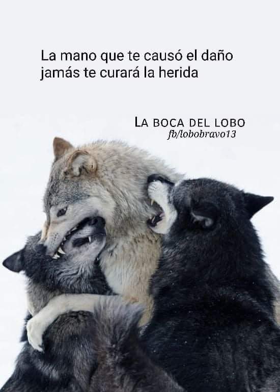 Virginia Batts (@virginiabattsok) on Twitter photo 