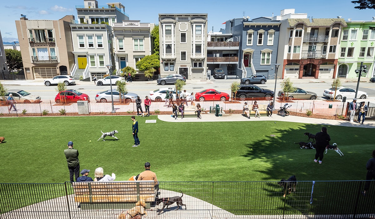 SF_Chamber's tweet photo. Join us for our monthly #BuildSF call on 6/8 at 8a! This month we will learn about the construction, design, and future of Francisco Park  from @CahillContract1

🏗️ Interested in attending? Register here: https://t.co/ZwPebnFW0c

🏞️ More on Francisco Park: https://t.co/TVmGA3mMjM https://t.co/NABRkgEdBS