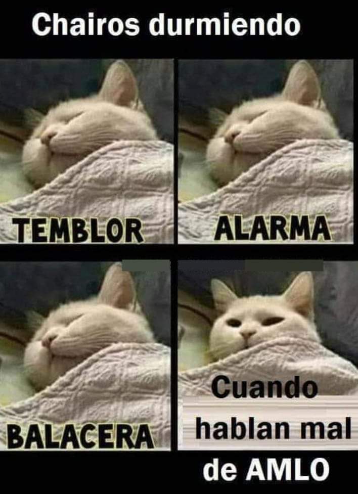 Quien más a parte de mí 😎🤣