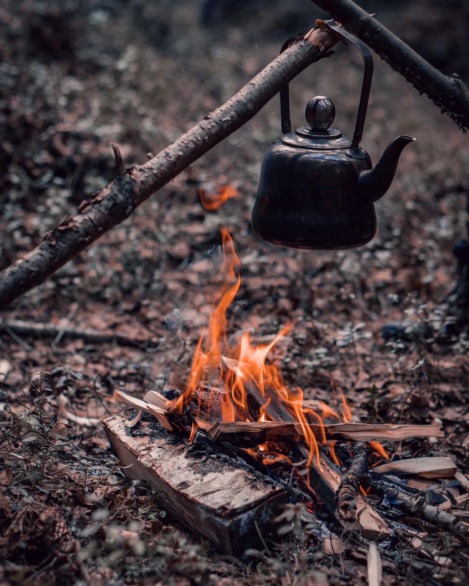 TheWorkerAnt's tweet photo. Where there's tea there's hope. Get inspired with @silverantoutdoors 🗺 All credits to @addez_photo for the breathtaking shot.
#wildfood #outdoorcooking #cookingoutdoors #overthefirecooking #camping #titaniumgear #outdoorsurvivalgear #makingfire #bushcraftfood #bushcraftcamp https://t.co/qnup2YYdfQ