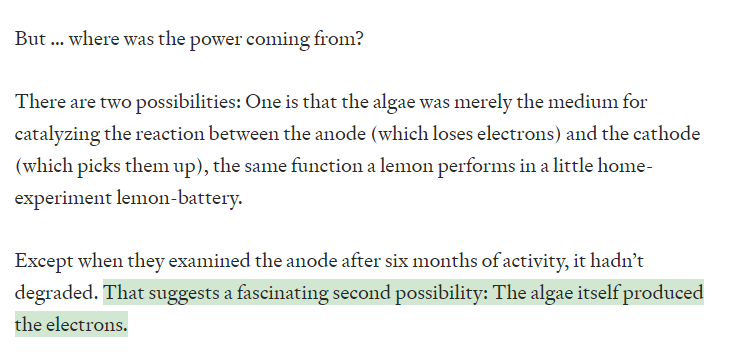 pomeranian99's tweet photo. They made a battery -- an anode and a cathode -- filled with blue-green algae

It sat on a windowsill for six months, so the algae would grow and produce oxygen

It powered an ARM computer nonstop

But: Where was the power coming from?

From my Linkfest: https://t.co/5Acgs1CeUU https://t.co/4jt6BWx1Go