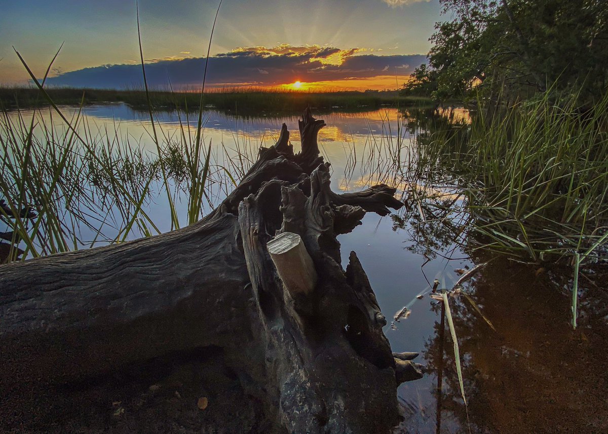 Have a SuPeR WeeKenD Friends!

Friday Sunset from Ye Ole Swimming Hole

#Friday #Weekend #Sunset