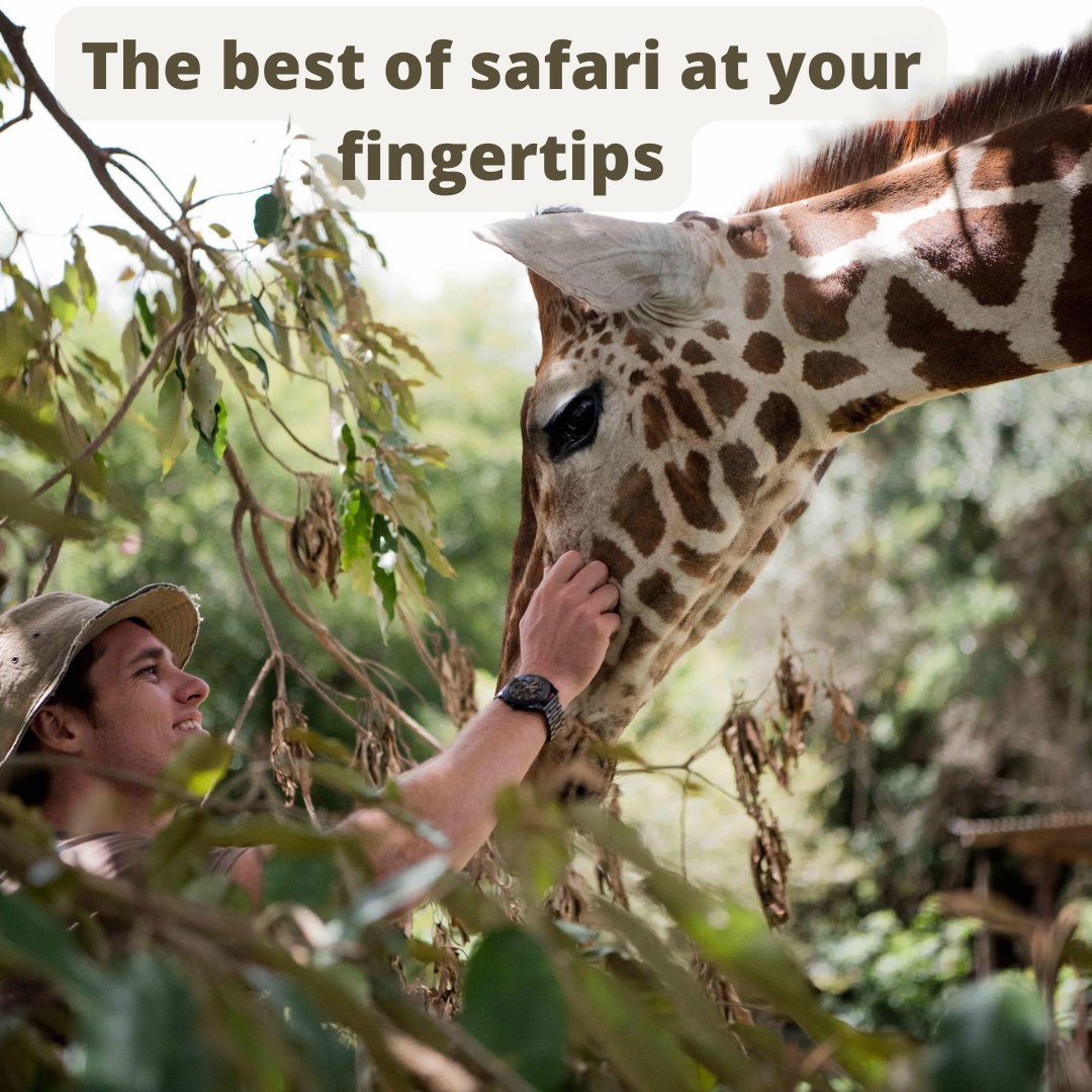 Find out all you need to know about planning a trip to Kenya, and discover why Cape Town is Africa's safest city for LGBTQ+ travellers... 

Sign up to our newsletter for more information:   bit.ly/3mJSJoF?utm_co…