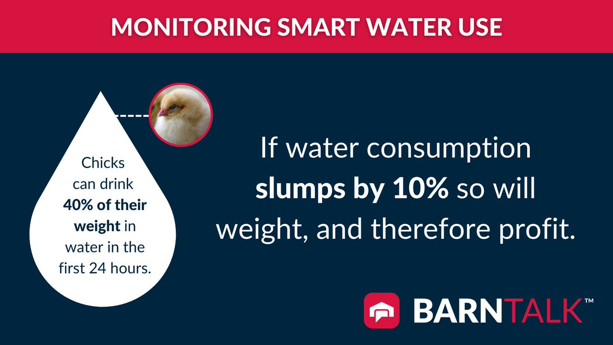 barntools's tweet photo. Wireless alarms that monitor water flow and consumption, even down to the line, can alert producers to water consumption-related issues before the bottom line is hit.

Learn more: https://t.co/CTKChqELlb 

#BarnTools #Farming #Agriculture #AgTech #Technology #Chickens #Poultry https://t.co/S7Pk8B9B15