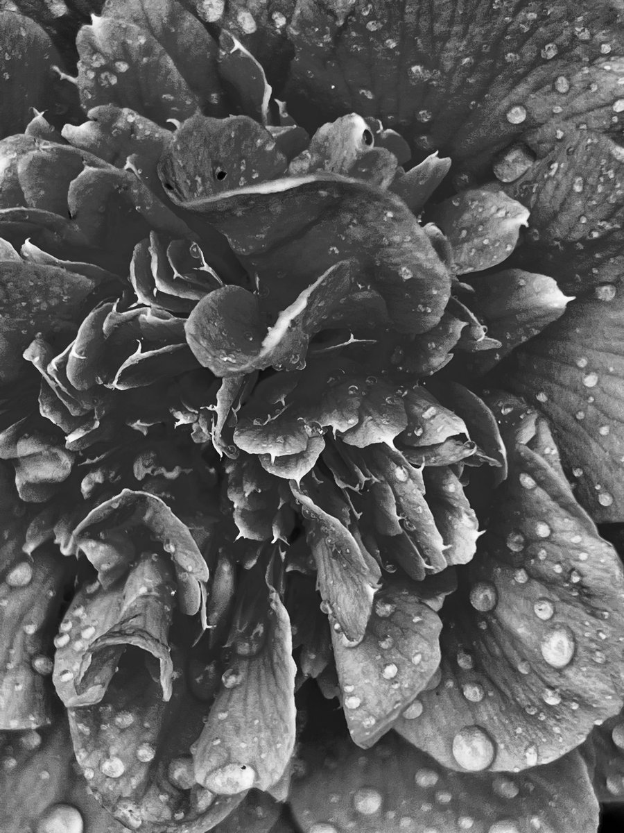DavidHu99942866's tweet photo. @admired_art #AftertheShower https://t.co/Mh6NsveFSB