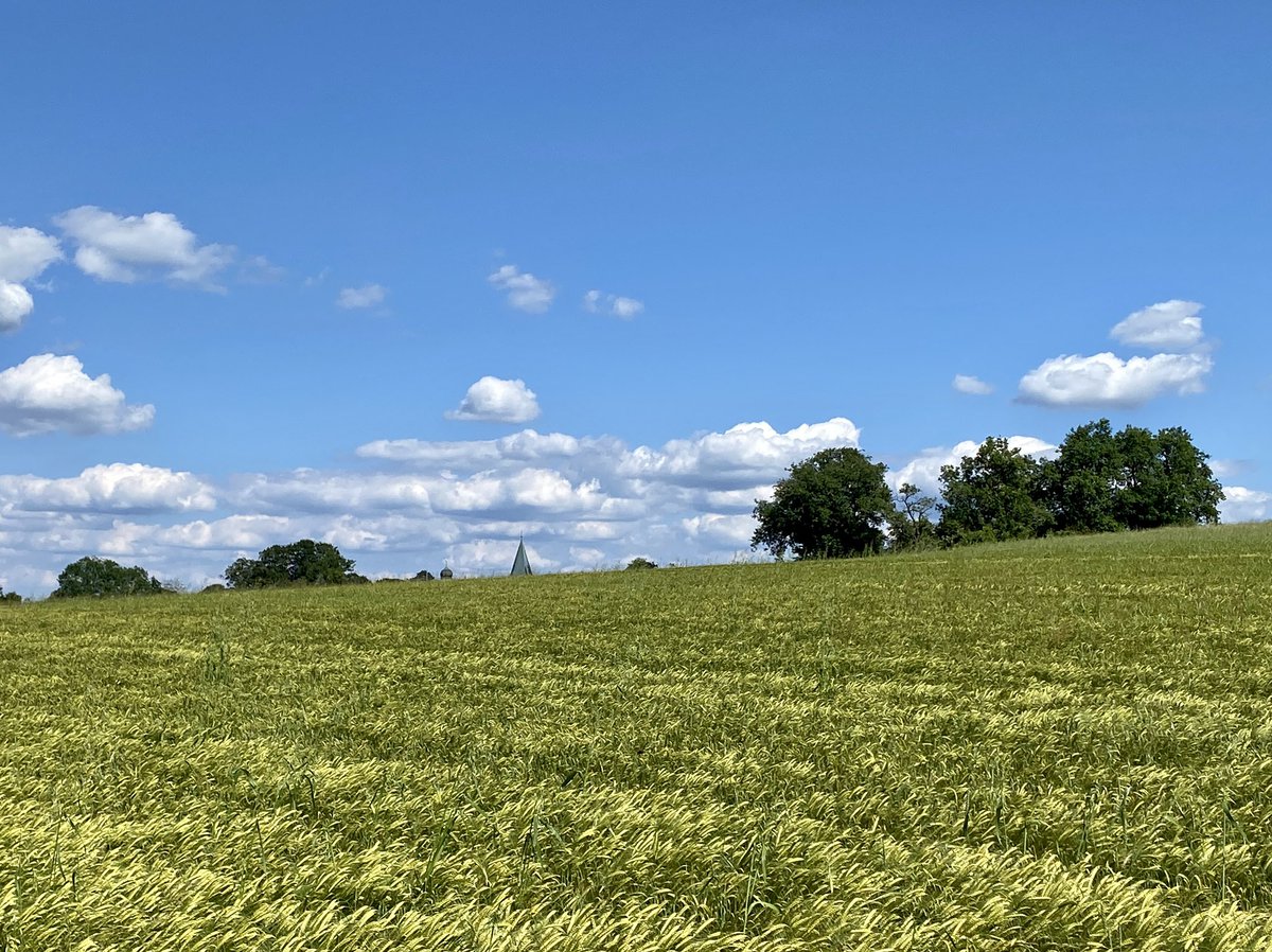 Favourite colours: blue and green 💙💚. #summer #bayern #bavaria