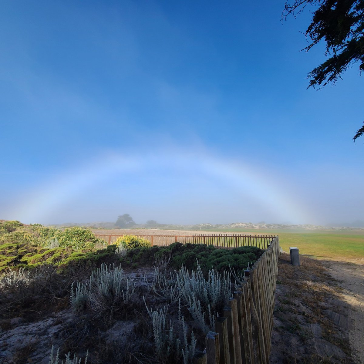Pacific Grove Golf tweet media