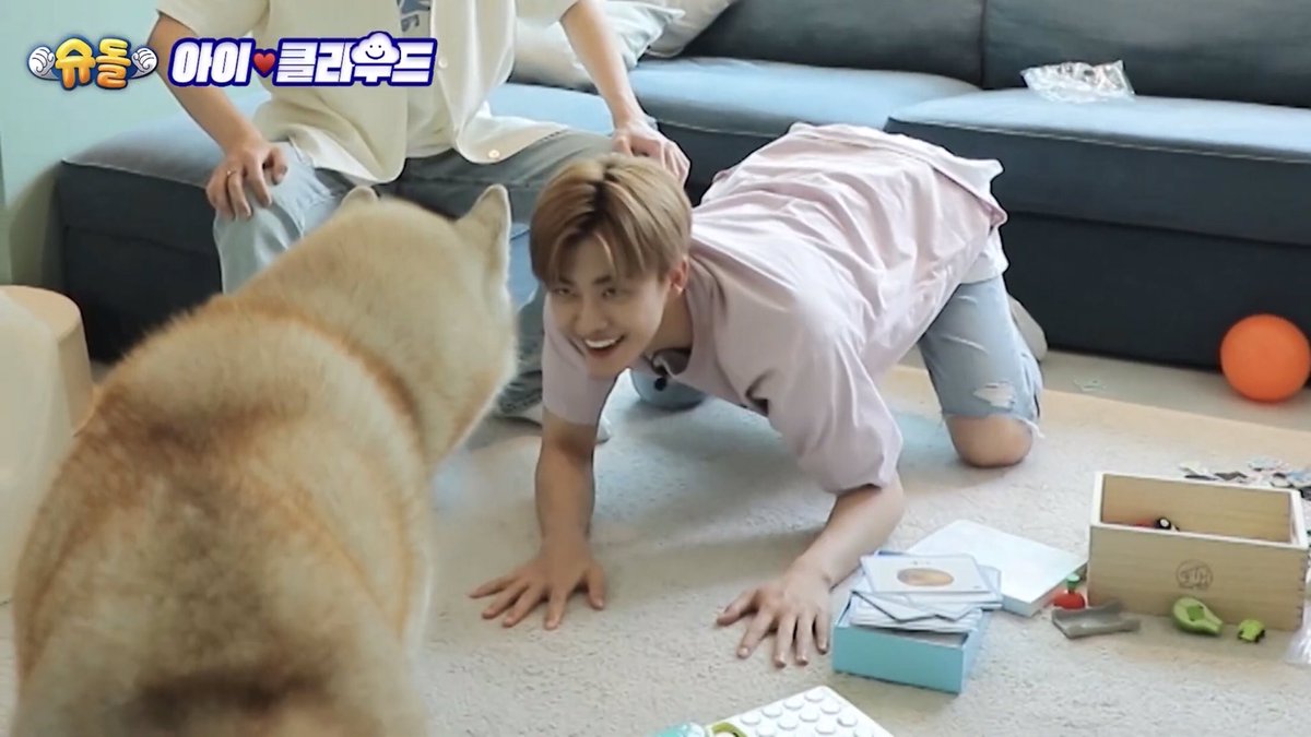 มีคนบอกว่าน้องแจมินดีดกว่าหมาไซอีก อ้ย เอนดูกว่าเดิม ก้อจิง ดีดจนน้องหมาไซยังงงในตัวมนุดคนนิ ยอมเล่นด้วยก็ได้อะไรแบบนี้ 55555555555555