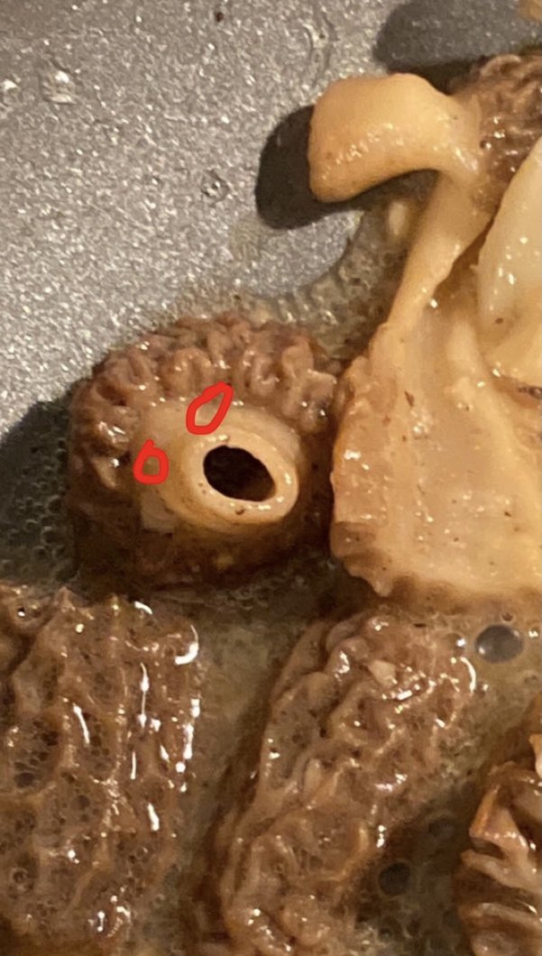 mathematics_k's tweet photo. Morel dilemma https://t.co/SQ5fkxA5ut