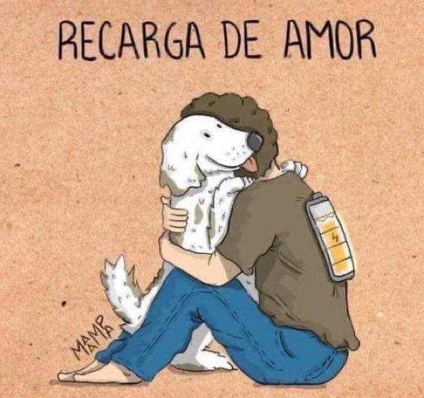 Razas de perros tweet media