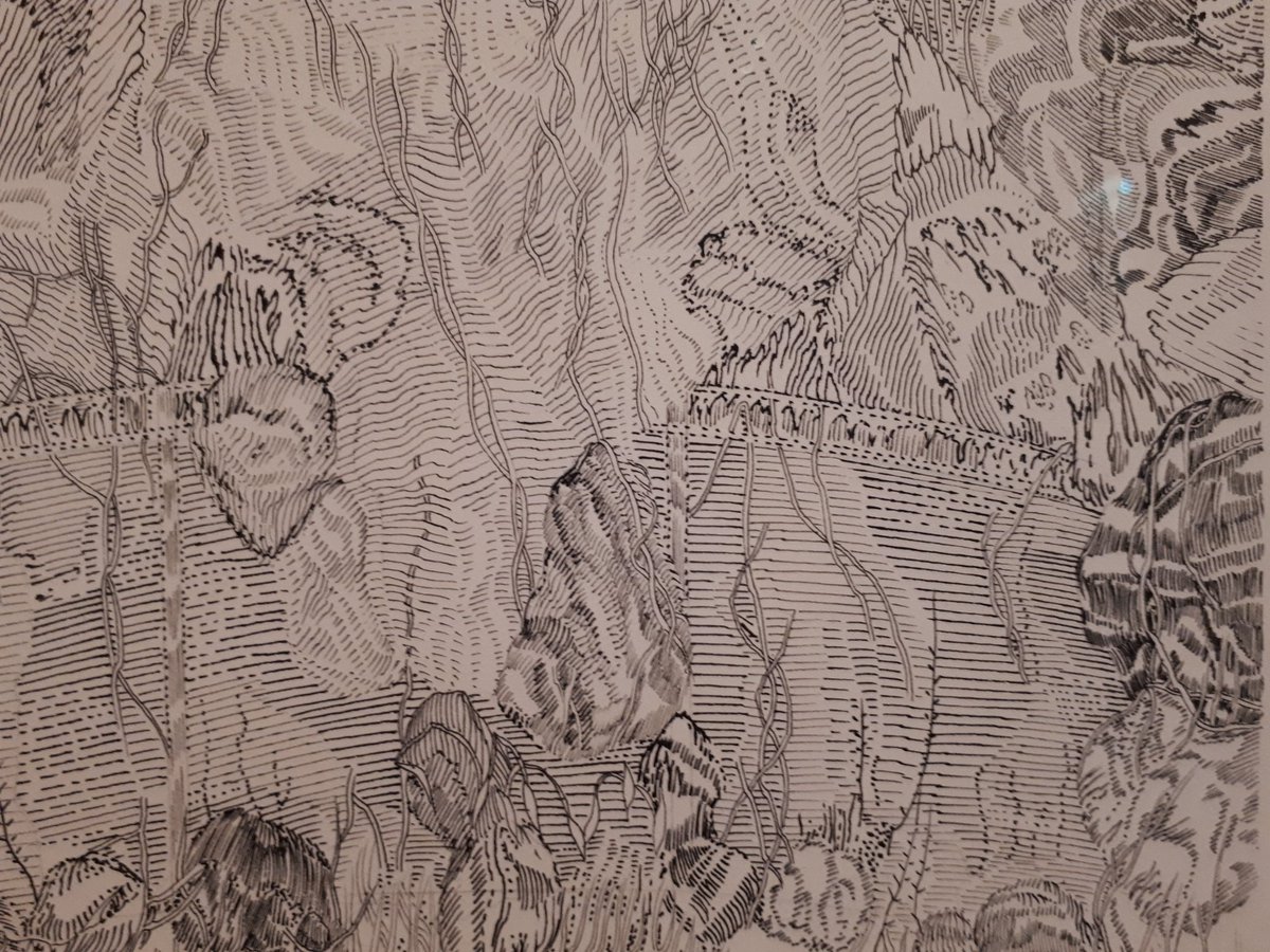 Sébastien Daniel tweet media