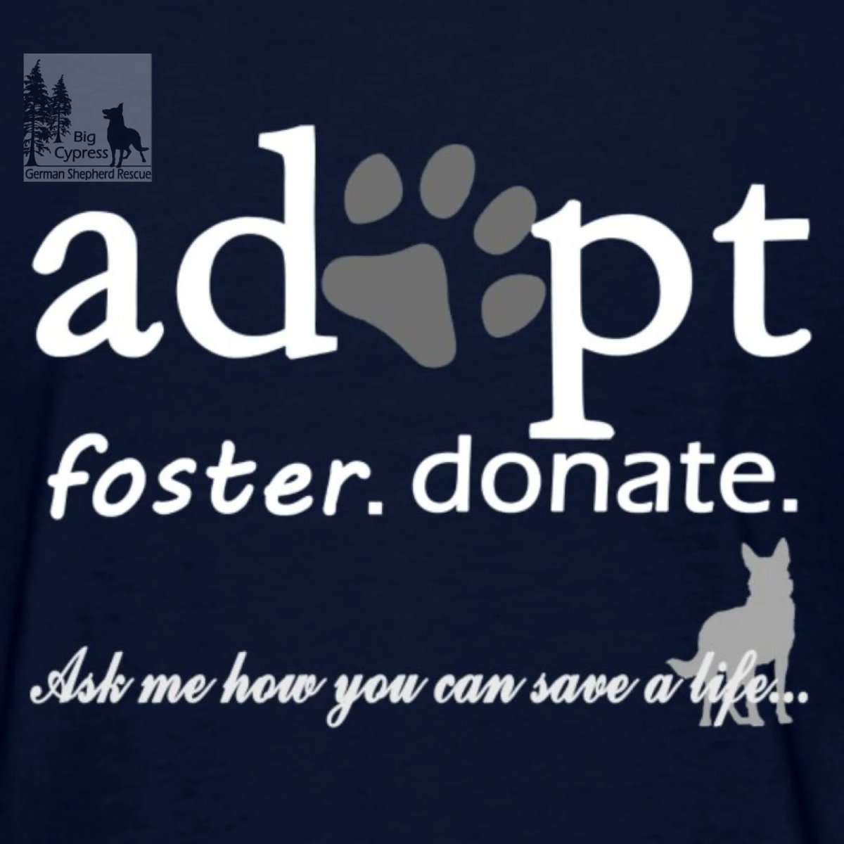 BCGSR (@bc_gsr) on Twitter photo 