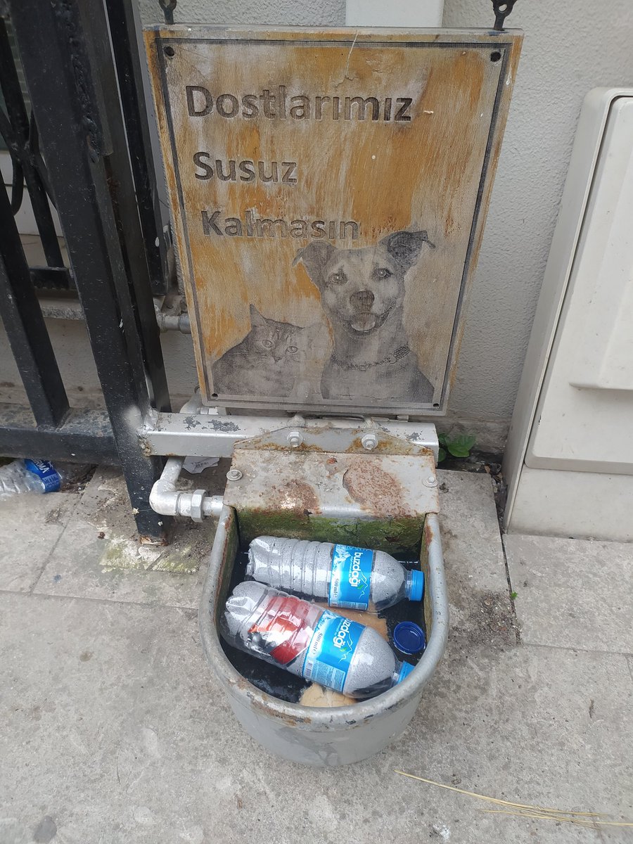 İnsanlar o kadar duyarsız ki!!Dostlarimiz, canlarımız için su ve mama verilen yeri çöp kovasına dönüştürmüş.Okumanizdami yok 😡57