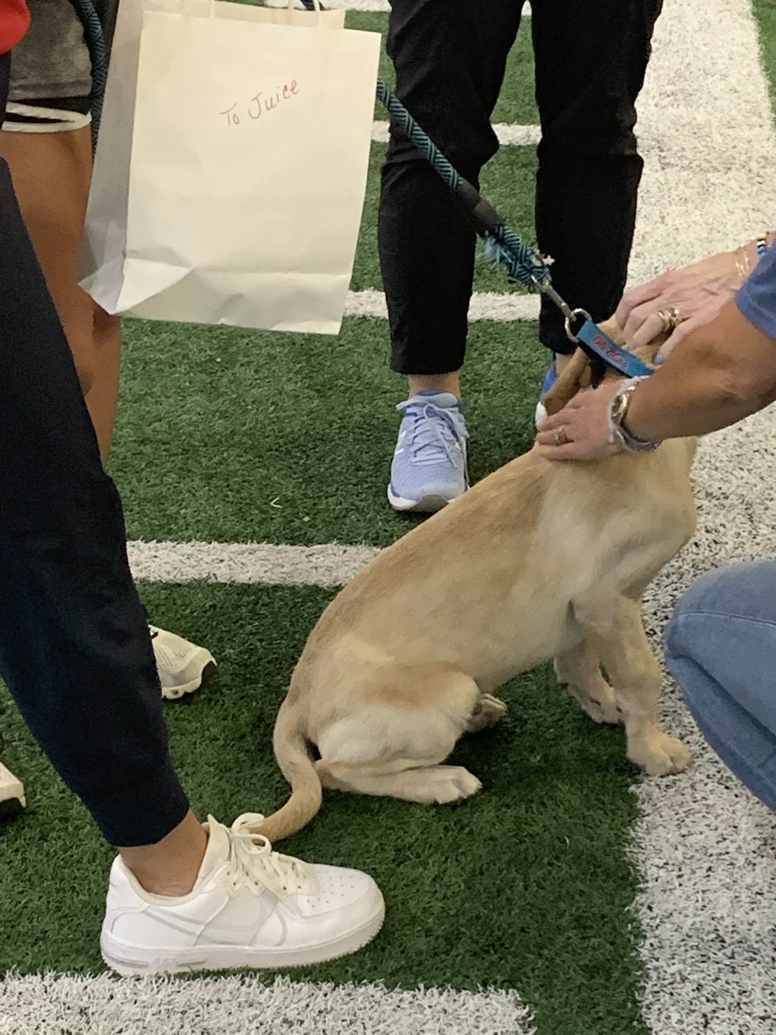 Juice Kiffin on Twitter "THEY BROUGHT ME TREATS https//t.co