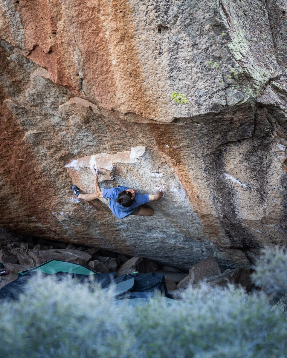 Jon Glassberg tweet media