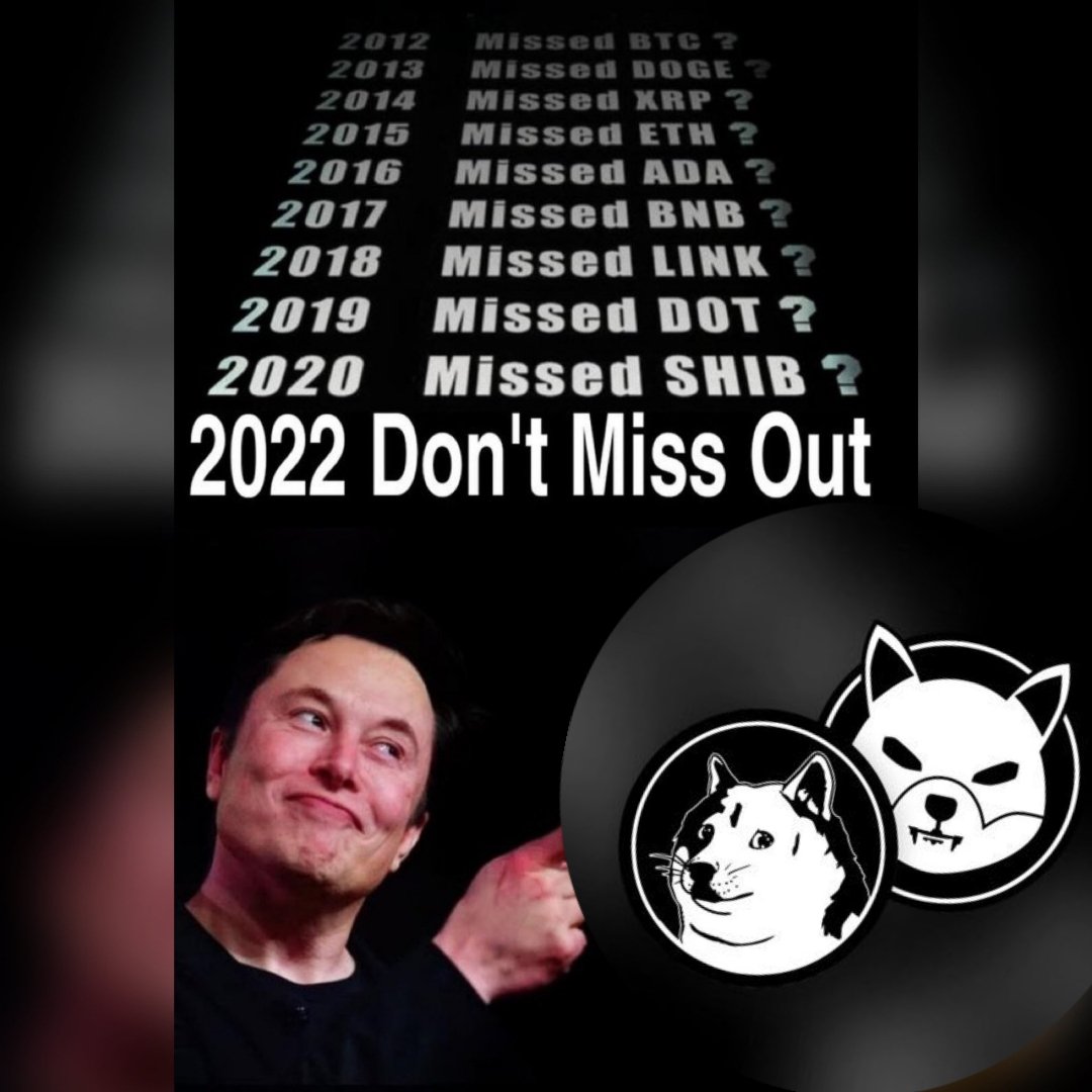 Olalekan $CADIA.(💚🌙)❤️Memecoin tweet media