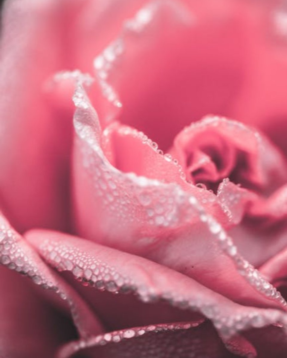 Rose all Day – Today is National Rose Day so join us from 2 – 5 p.m., at Brighton in the Cherry Hill Mall for a free wine tasting event with One Hope Winery’s exclusive Rose and Sparkling bottles. Let’s “toast for a cause.” #winetime #roseallday #roseday

ow.ly/X5mx50JuSaf