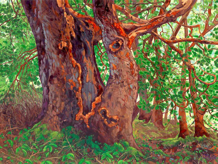 dominikjm's tweet photo. I often return to one of my favorite subjects, a forest interior.
From technical paint of view of landscape painting it is a very challenging subject to paint.
#forest #pleinairpainting #pleinairpainter #alpinepainting  #outdoorpainter  #goodtimesoutside #landscapepainting https://t.co/WLpd4ry2Z1