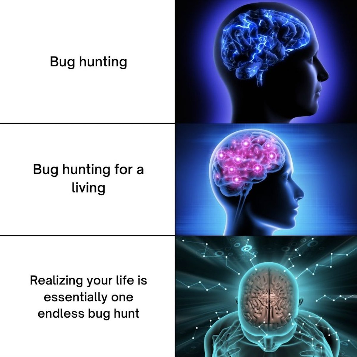 Bugcrowd's tweet photo. Keep on #BugHunting 🐛💰 https://t.co/q1CgFmAaRU