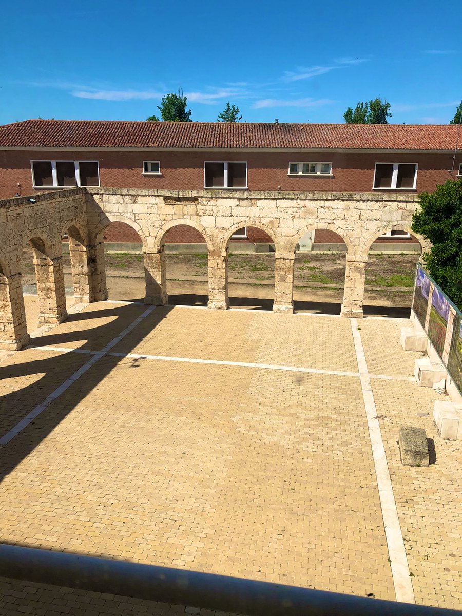 RafaelBeltránPerote tweet media