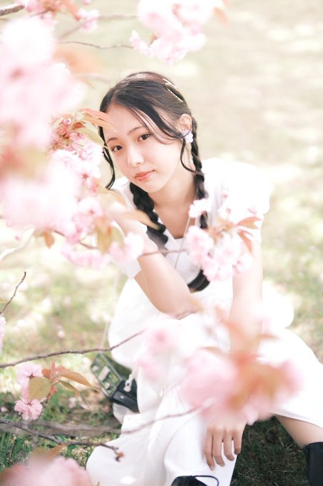 noaのTwitter画像1