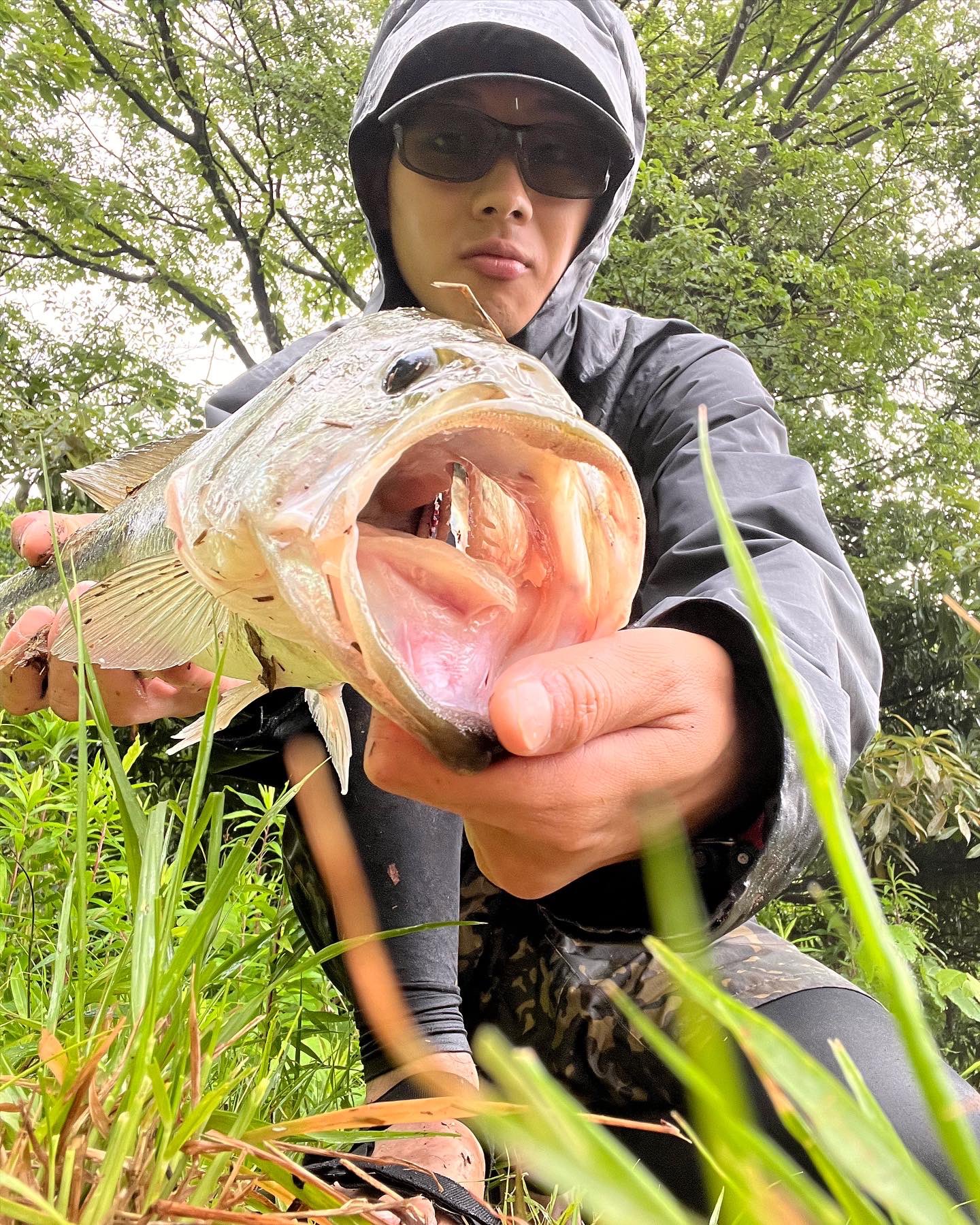 大分バス釣り Twitter Search Twitter
