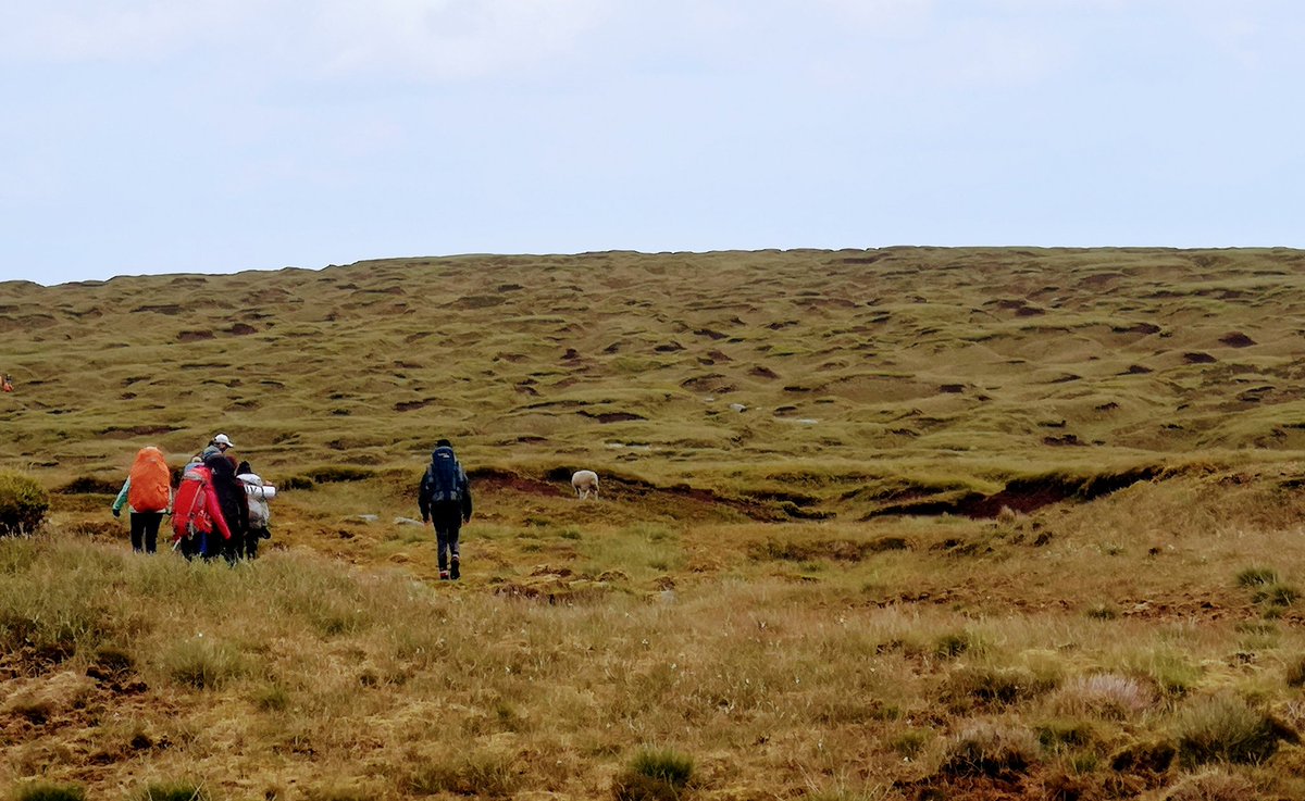 Amy Lemon tweet media